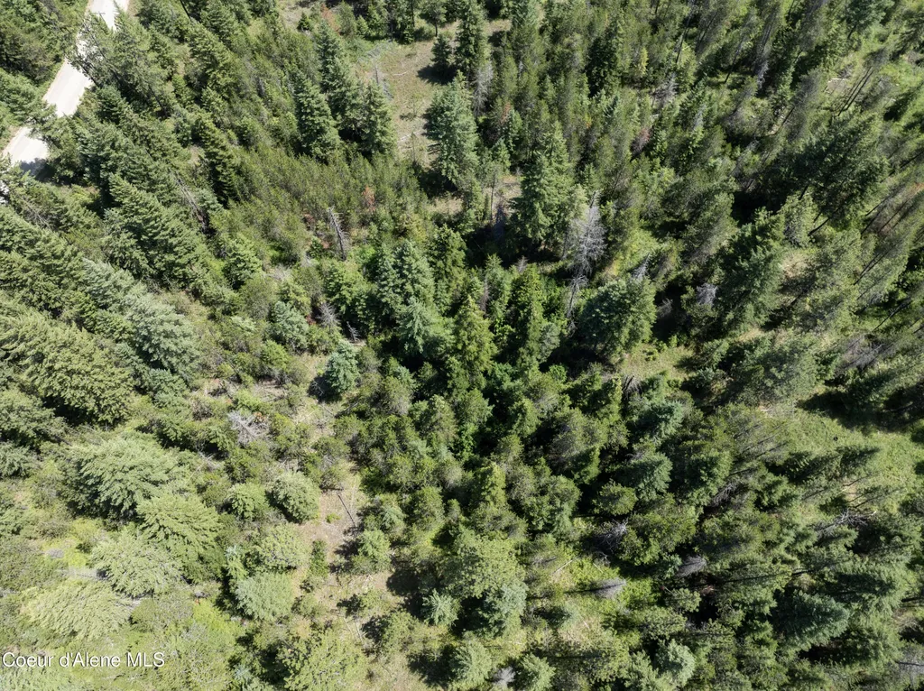 BLK1 Lot3 W Grayeagle Road Rathdrum ID 83858