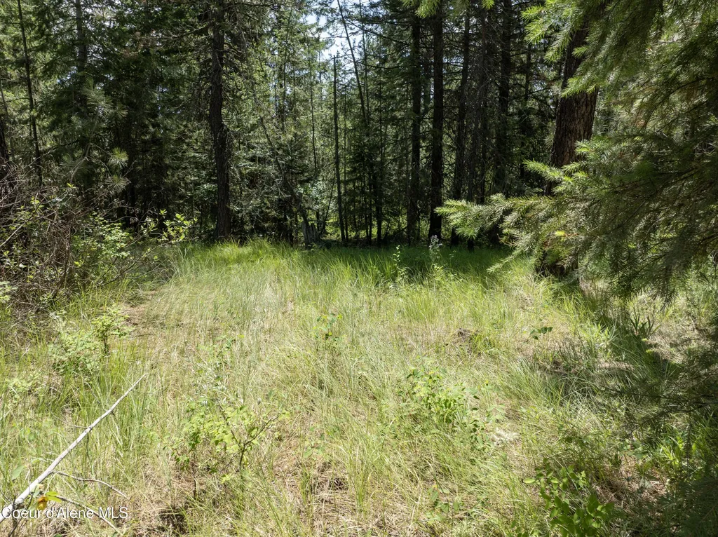 BLK1 Lot3 W Grayeagle Road Rathdrum ID 83858