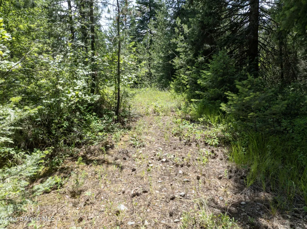 BLK1 Lot3 W Grayeagle Road Rathdrum ID 83858