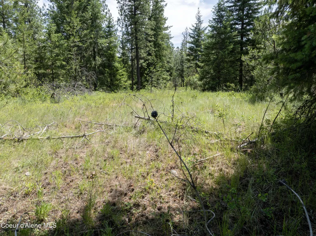 BLK1 Lot3 W Grayeagle Road Rathdrum ID 83858
