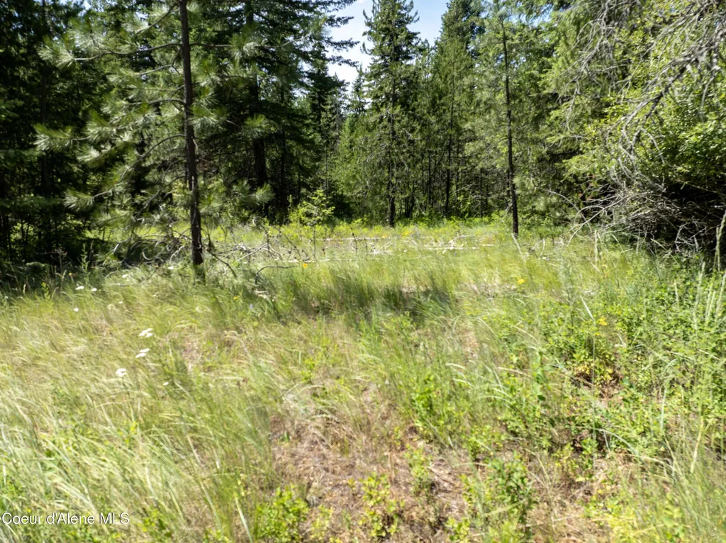 BLK1 Lot3 W Grayeagle Road Rathdrum ID 83858