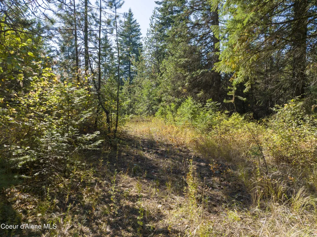 BLK1 Lot3 W Grayeagle Road Rathdrum ID 83858