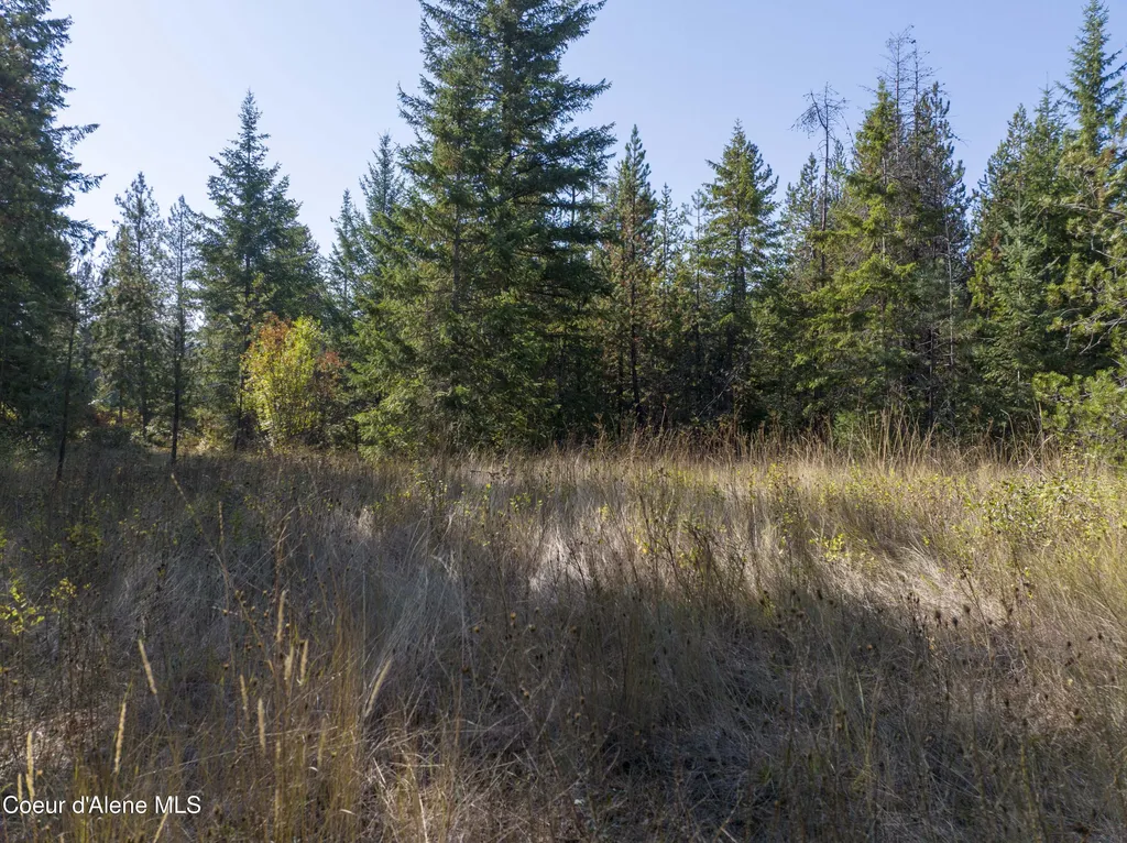 BLK1 Lot3 W Grayeagle Road Rathdrum ID 83858