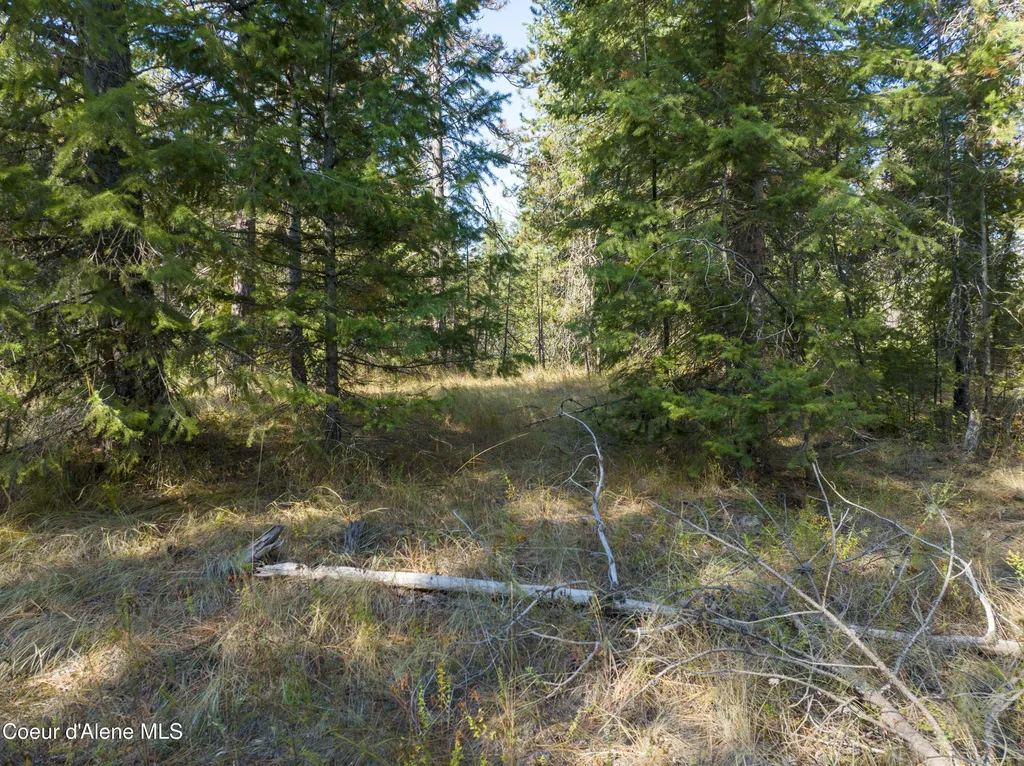 BLK1 Lot3 W Grayeagle Road Rathdrum ID 83858