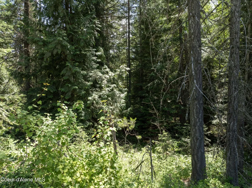 BLK1 Lot2 W Grayeagle Road Rathdrum ID 83858