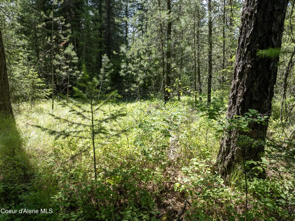 BLK1 Lot2 W Grayeagle Road Rathdrum ID 83858
