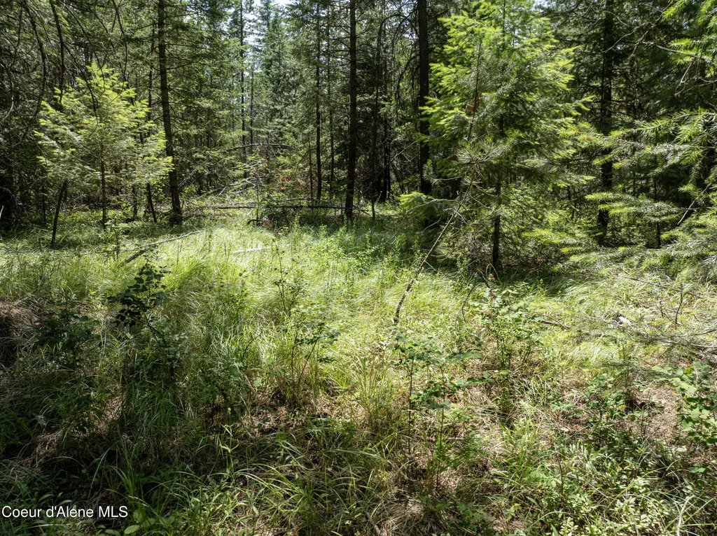 BLK1 Lot2 W Grayeagle Road Rathdrum ID 83858