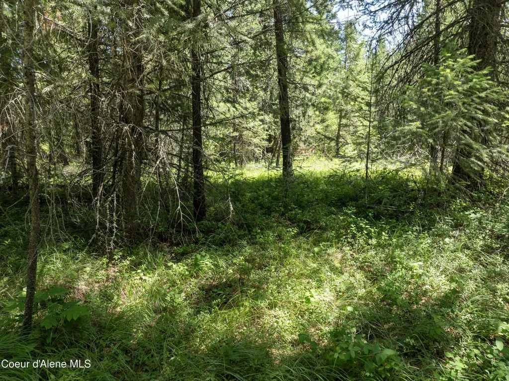 BLK1 Lot2 W Grayeagle Road Rathdrum ID 83858