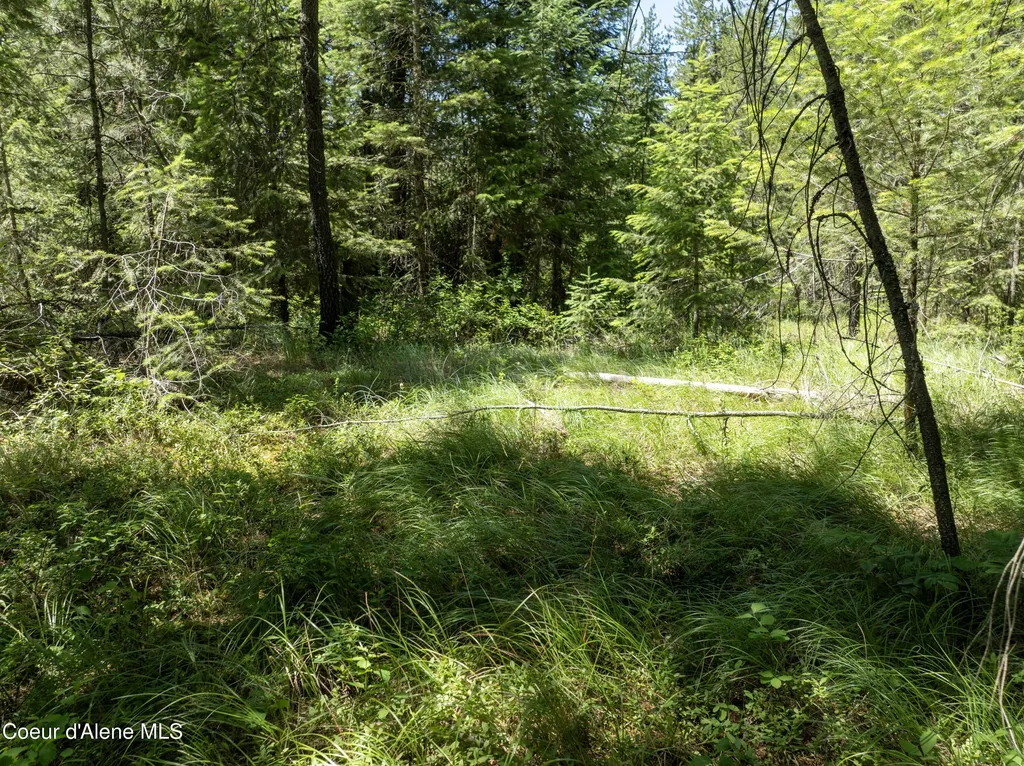 BLK1 Lot2 W Grayeagle Road Rathdrum ID 83858