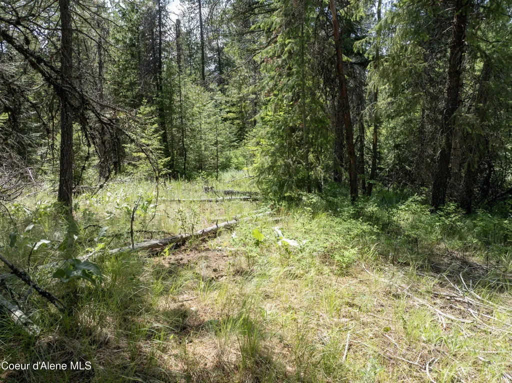 BLK1 Lot2 W Grayeagle Road Rathdrum ID 83858