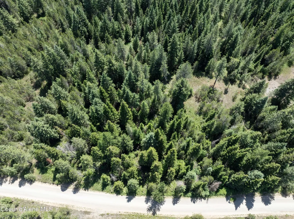 BLK1 Lot2 W Grayeagle Road Rathdrum ID 83858
