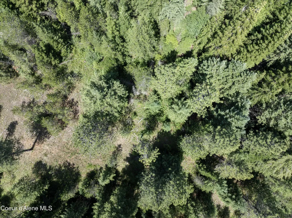 BLK1 Lot2 W Grayeagle Road Rathdrum ID 83858