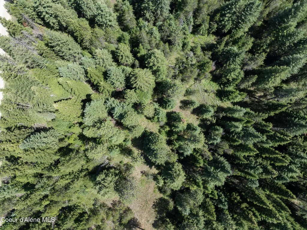 BLK1 Lot2 W Grayeagle Road Rathdrum ID 83858