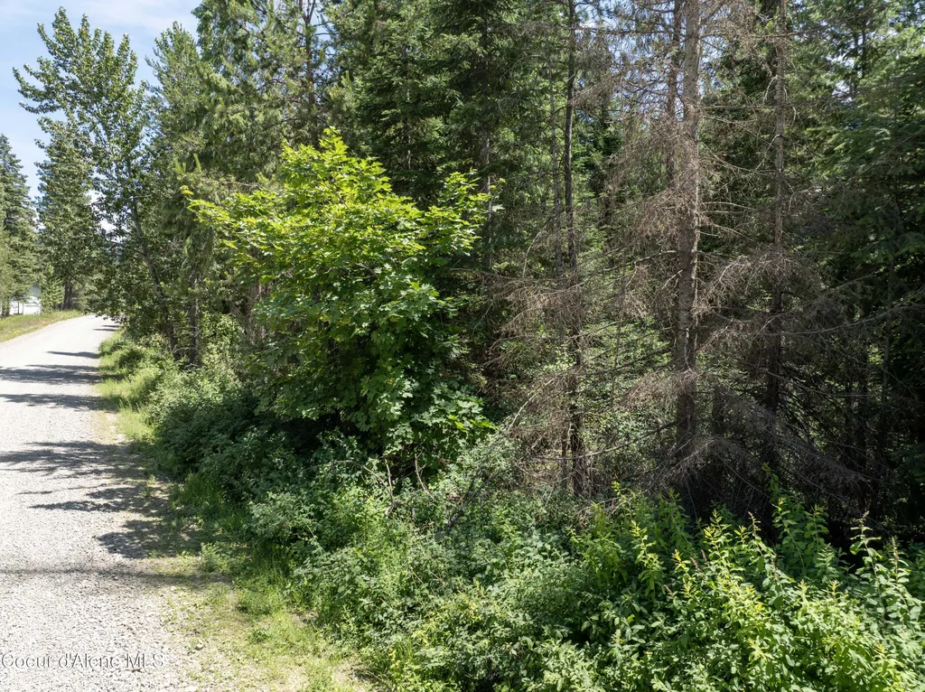 BLK1 Lot2 W Grayeagle Road Rathdrum ID 83858
