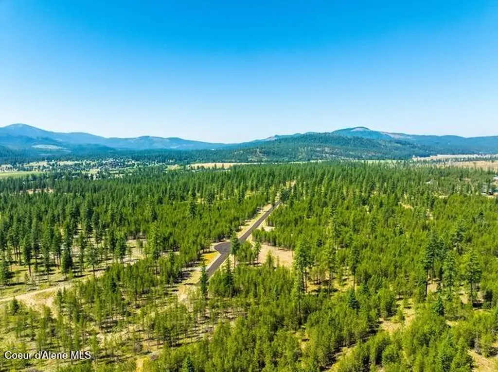 55 Cannon Lane Blanchard ID 83804