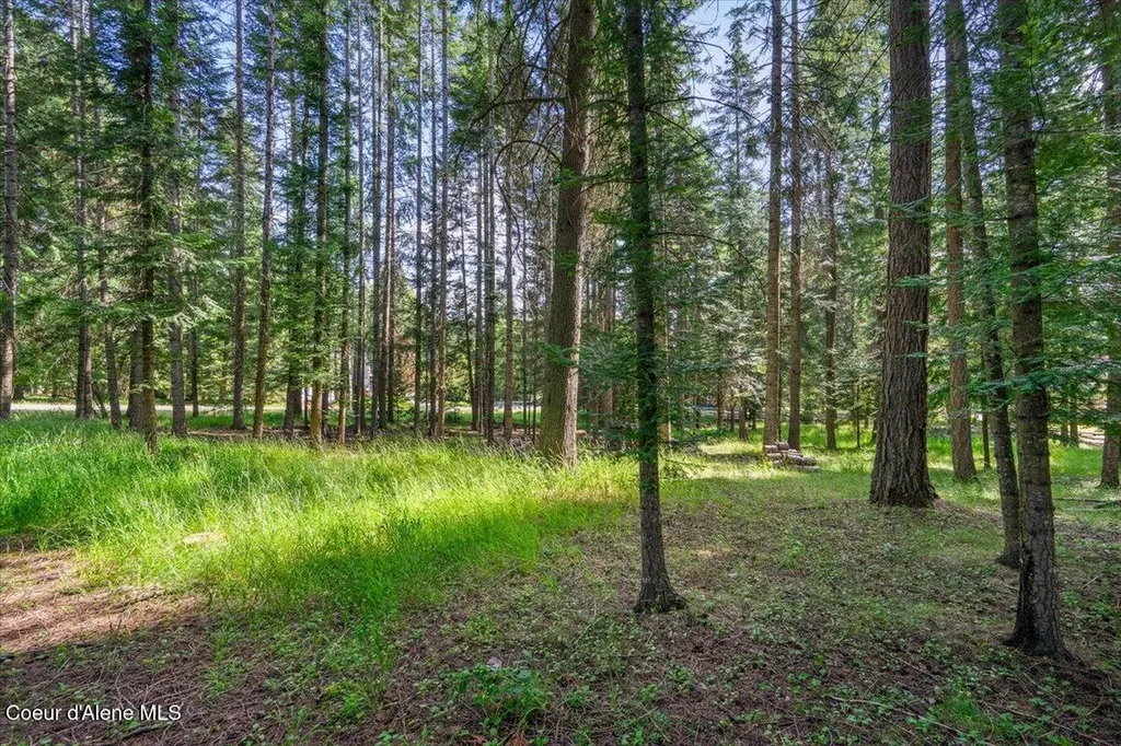 12321 N Sherwood Court Hayden ID 83835