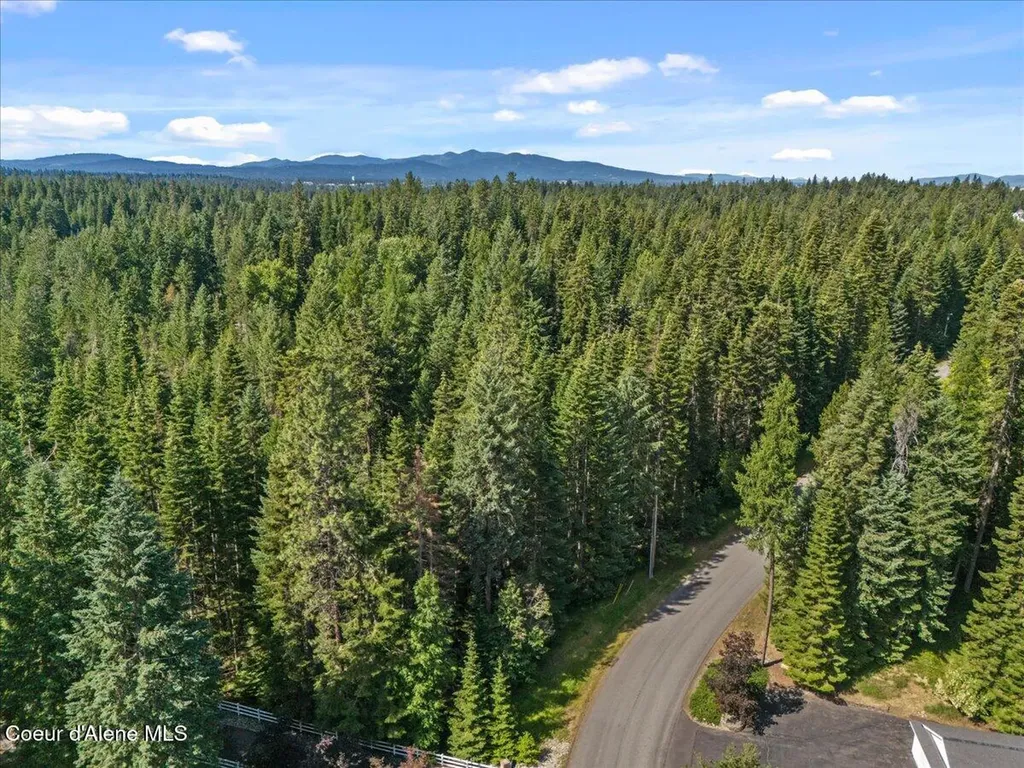 12321 N Sherwood Court Hayden ID 83835