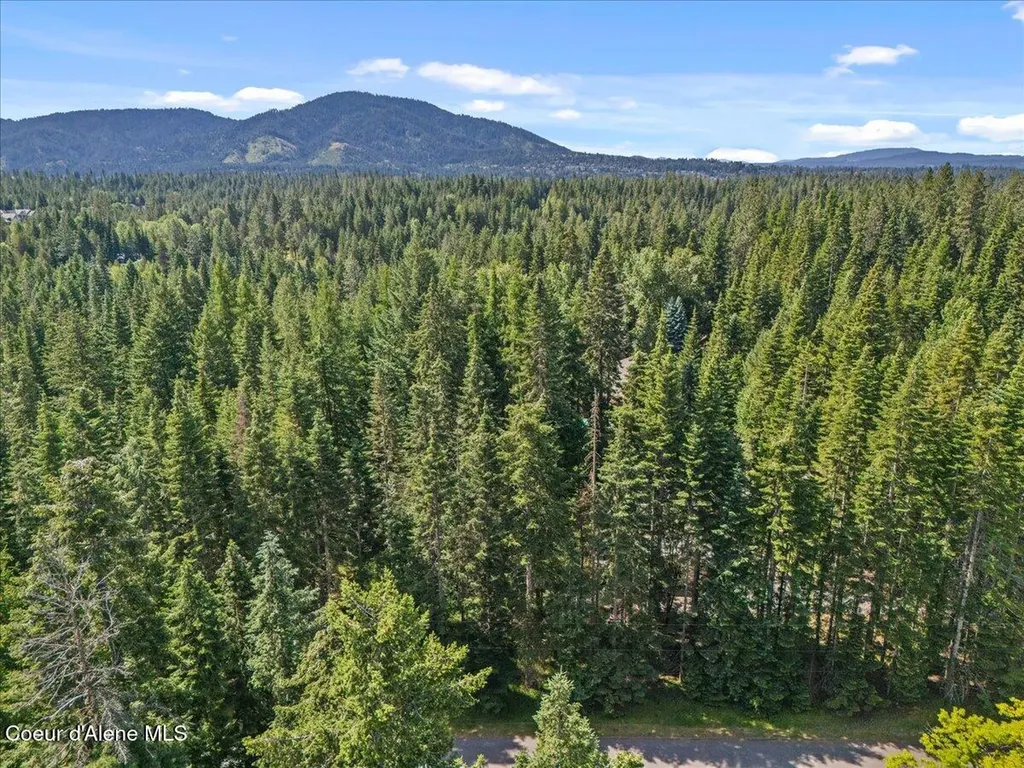 12321 N Sherwood Court Hayden ID 83835