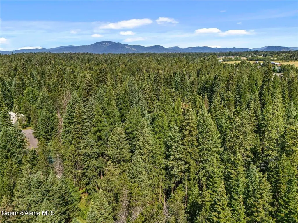 12321 N Sherwood Court Hayden ID 83835