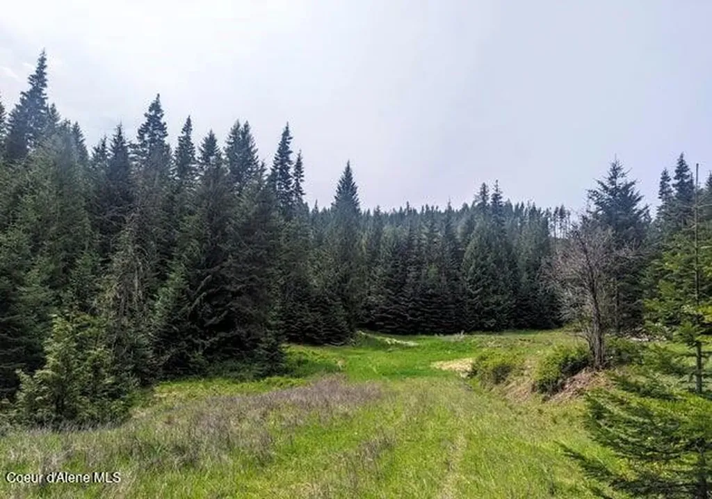 Nka Gold Ridge Road St. Maries ID 83861