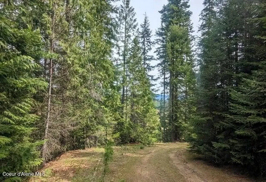 Nka Gold Ridge Road St. Maries ID 83861