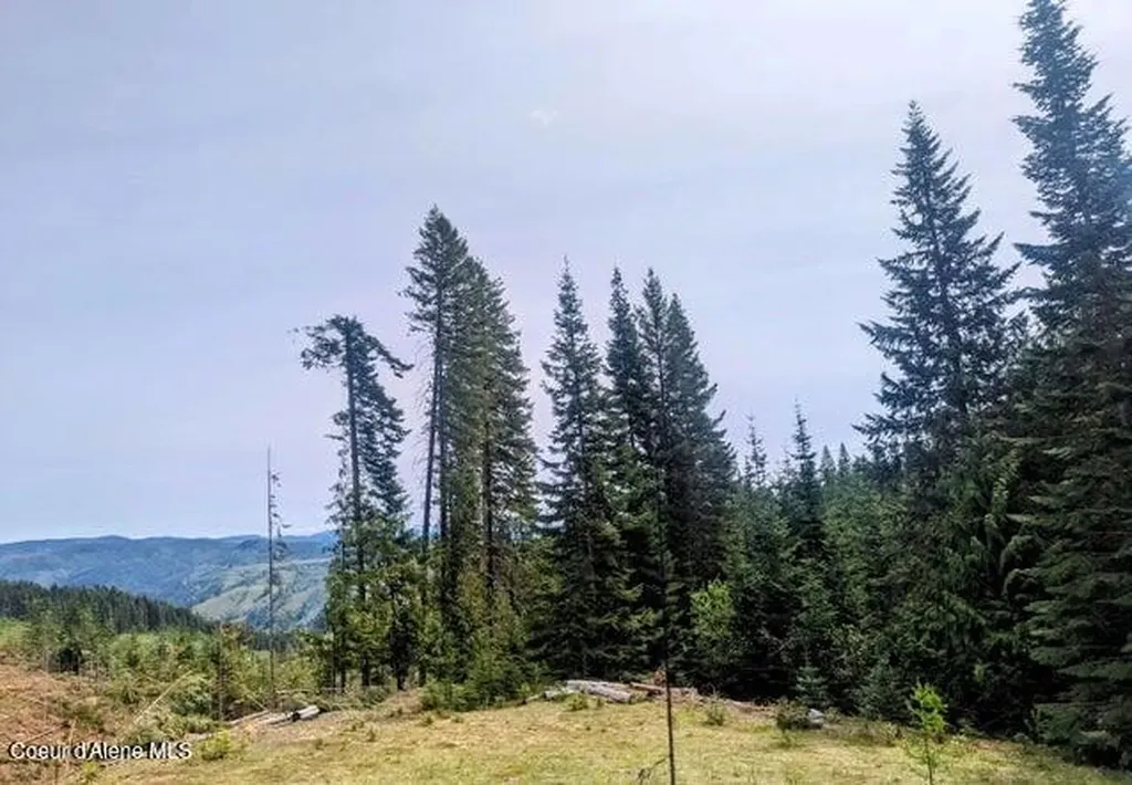 Nka Gold Ridge Road St. Maries ID 83861