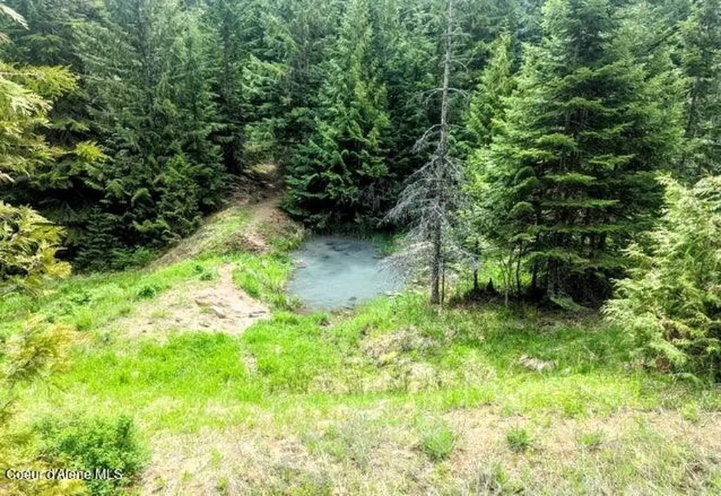 Nka Gold Ridge Road St. Maries ID 83861