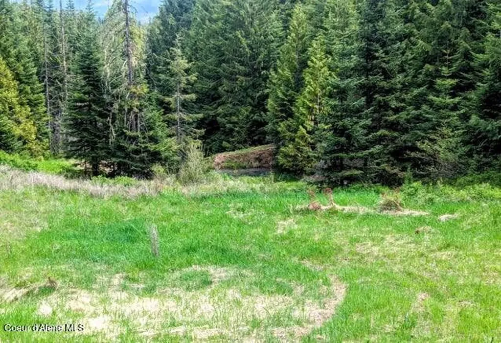 Nka Gold Ridge Road St. Maries ID 83861