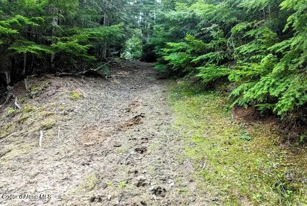 Nka Gold Ridge Road St. Maries ID 83861
