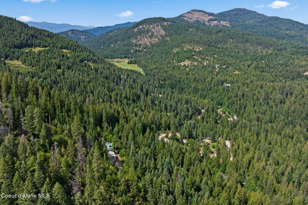 406 Usfs 2235a Sagle ID 83860