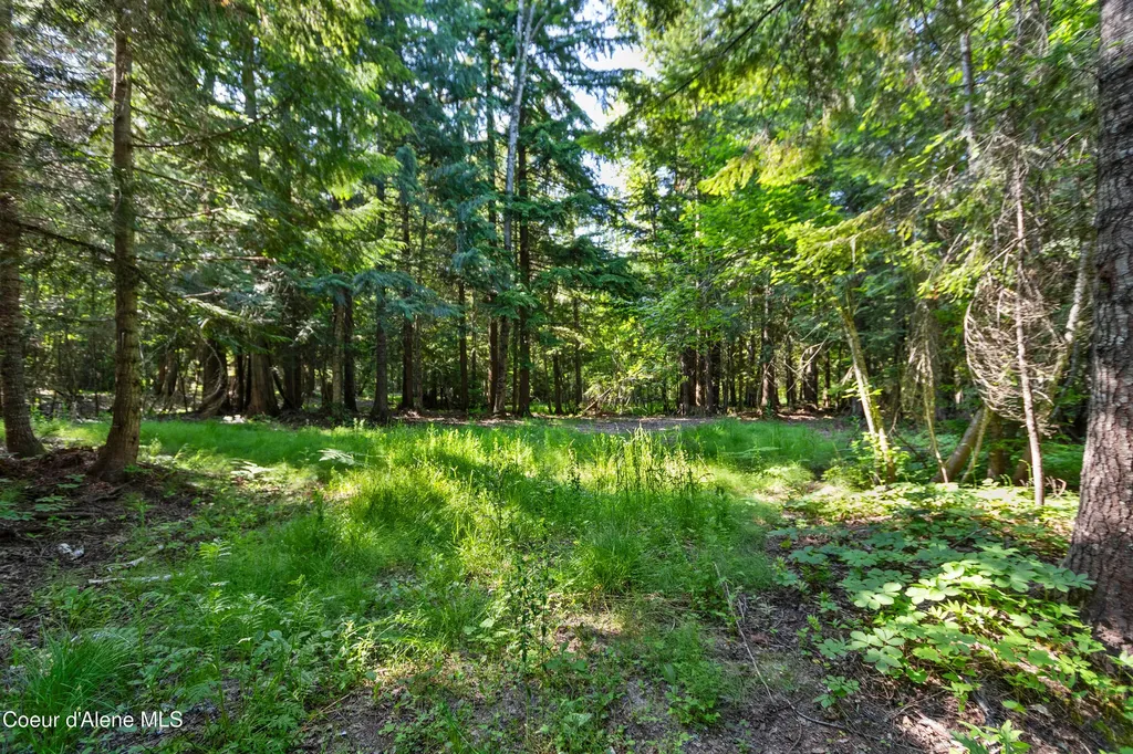 1283 N Wrenco Road Sandpoint ID 83864