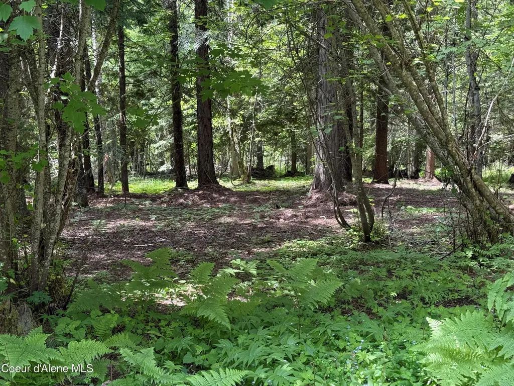 1283 N Wrenco Road Sandpoint ID 83864