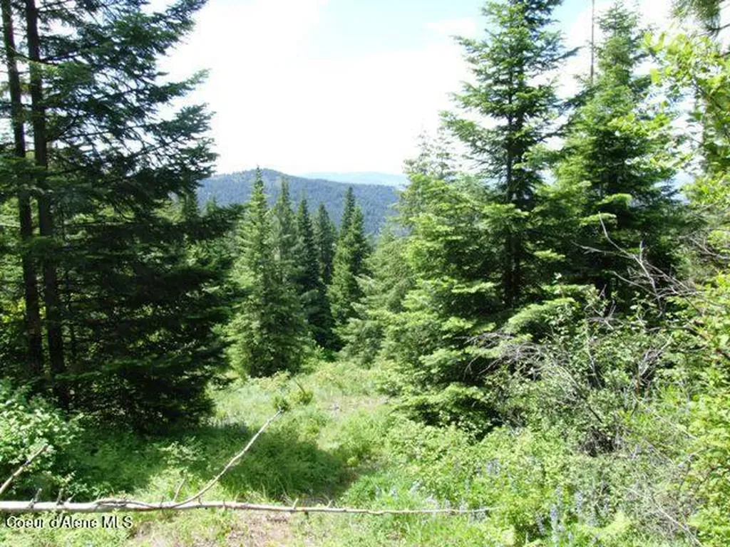 4900 E Hudlow Road Hayden ID 83835