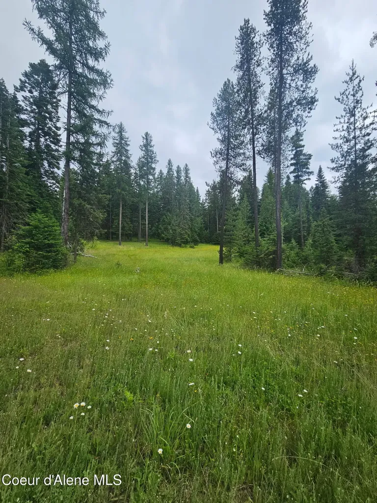 4900 E Hudlow Road Hayden ID 83835