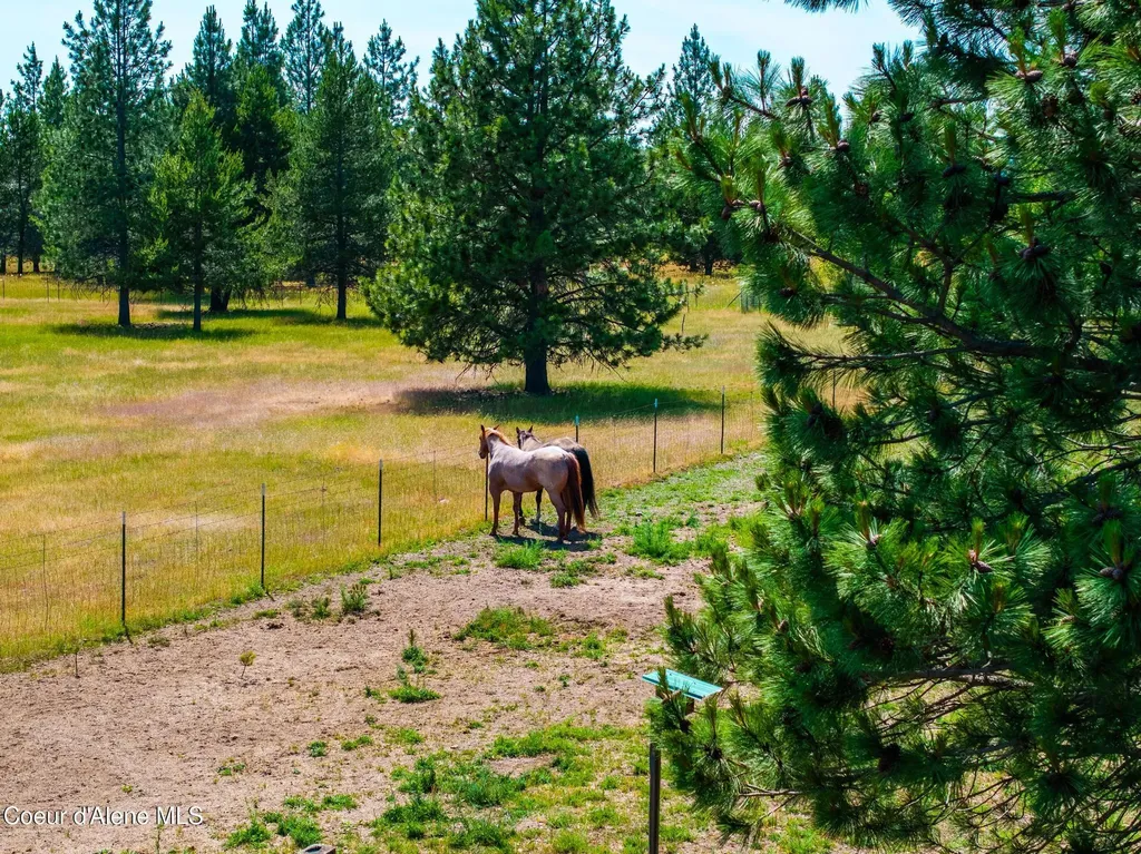 30267 N Wheatridge Road Athol ID 83801