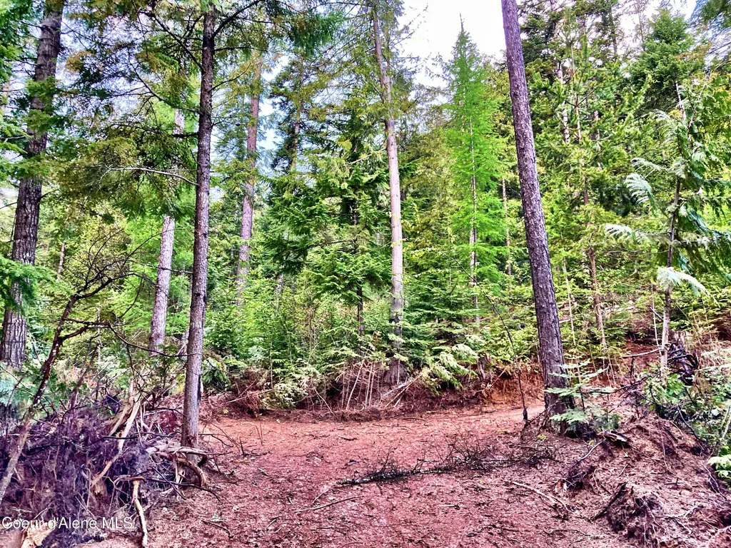 Nna White Mountain Road Sandpoint ID 83864