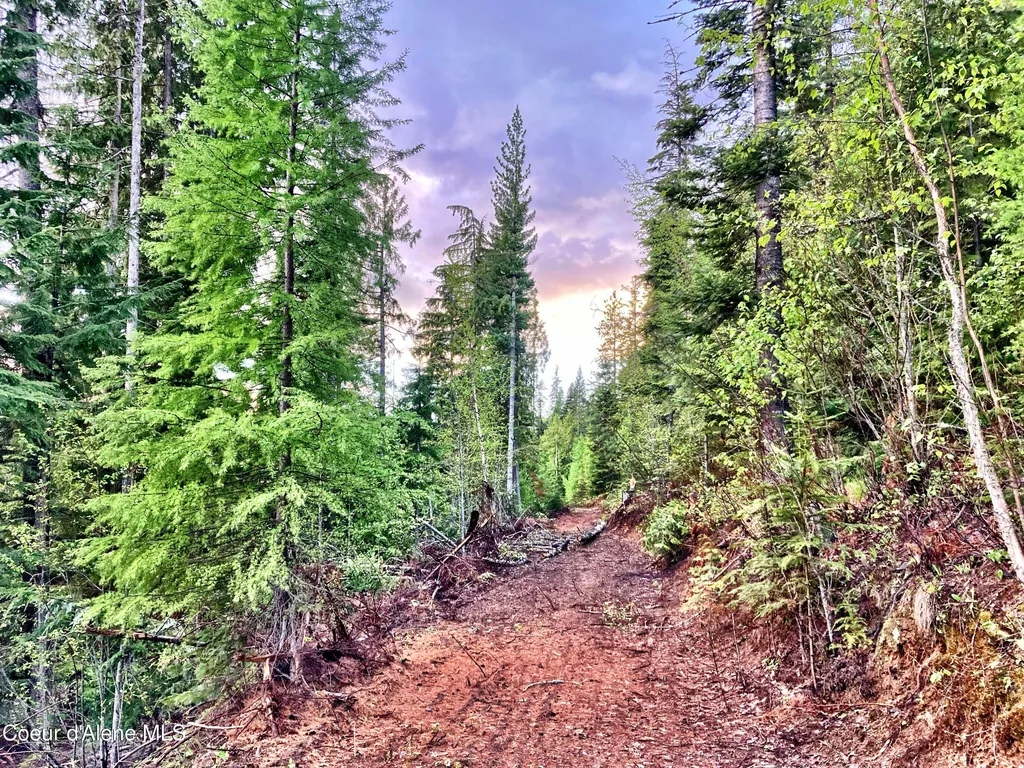 Nna White Mountain Road Sandpoint ID 83864