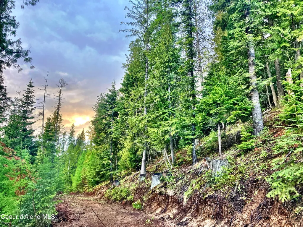 Nna White Mountain Road Sandpoint ID 83864
