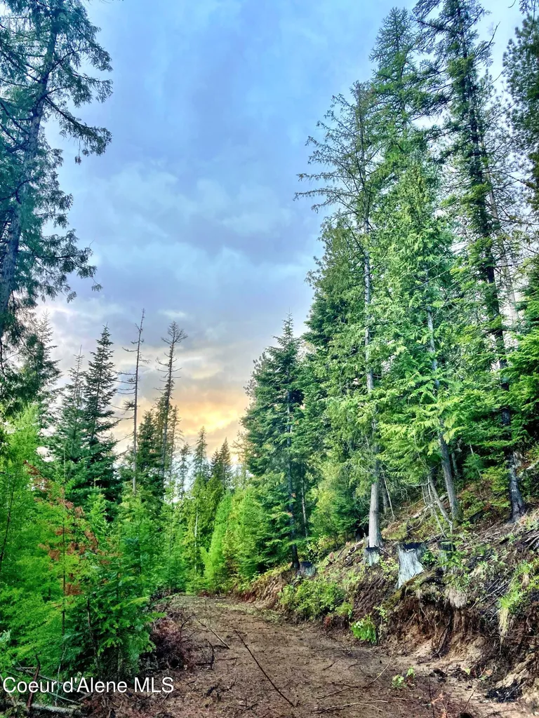 Nna White Mountain Road Sandpoint ID 83864