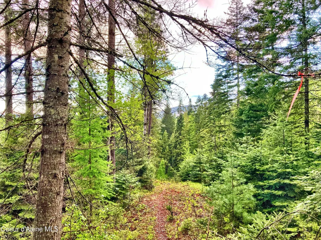 Nna White Mountain Road Sandpoint ID 83864