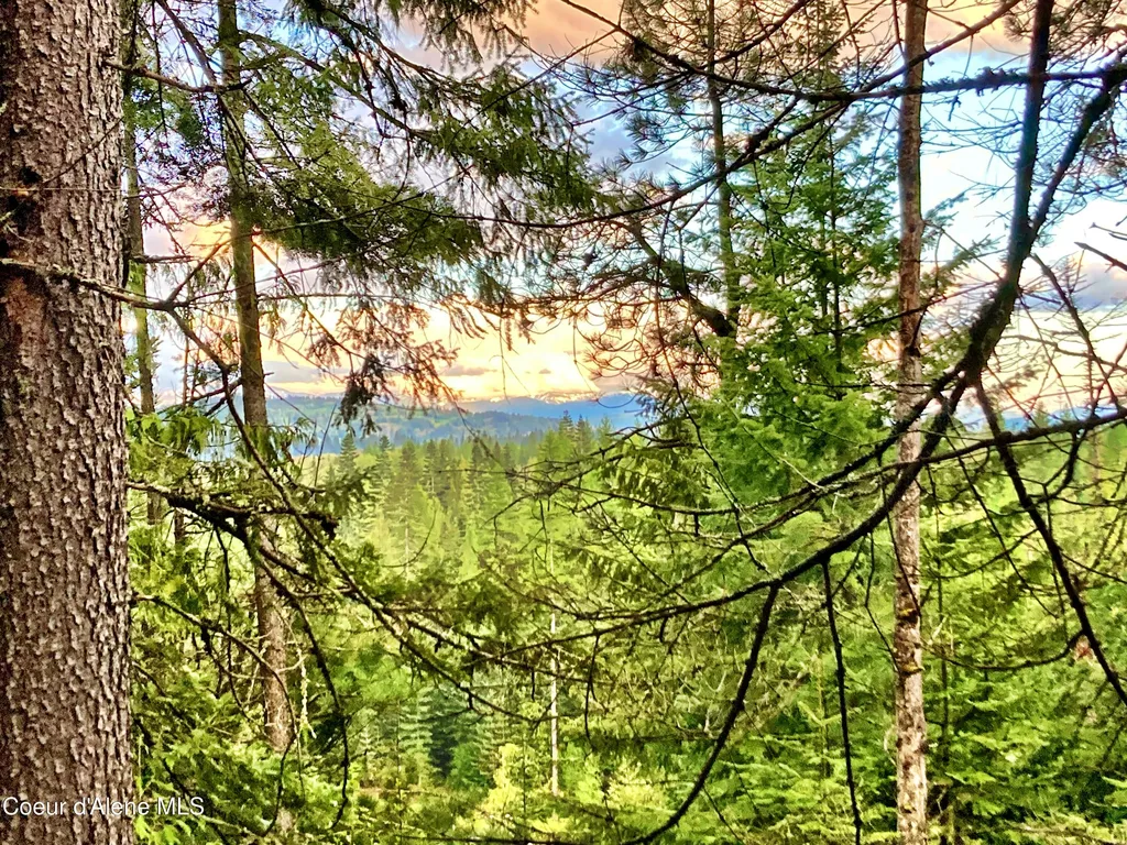 Nna White Mountain Road Sandpoint ID 83864