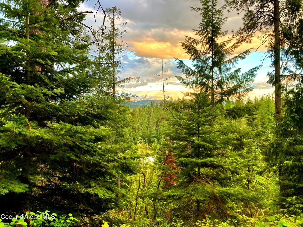Nna White Mountain Road Sandpoint ID 83864