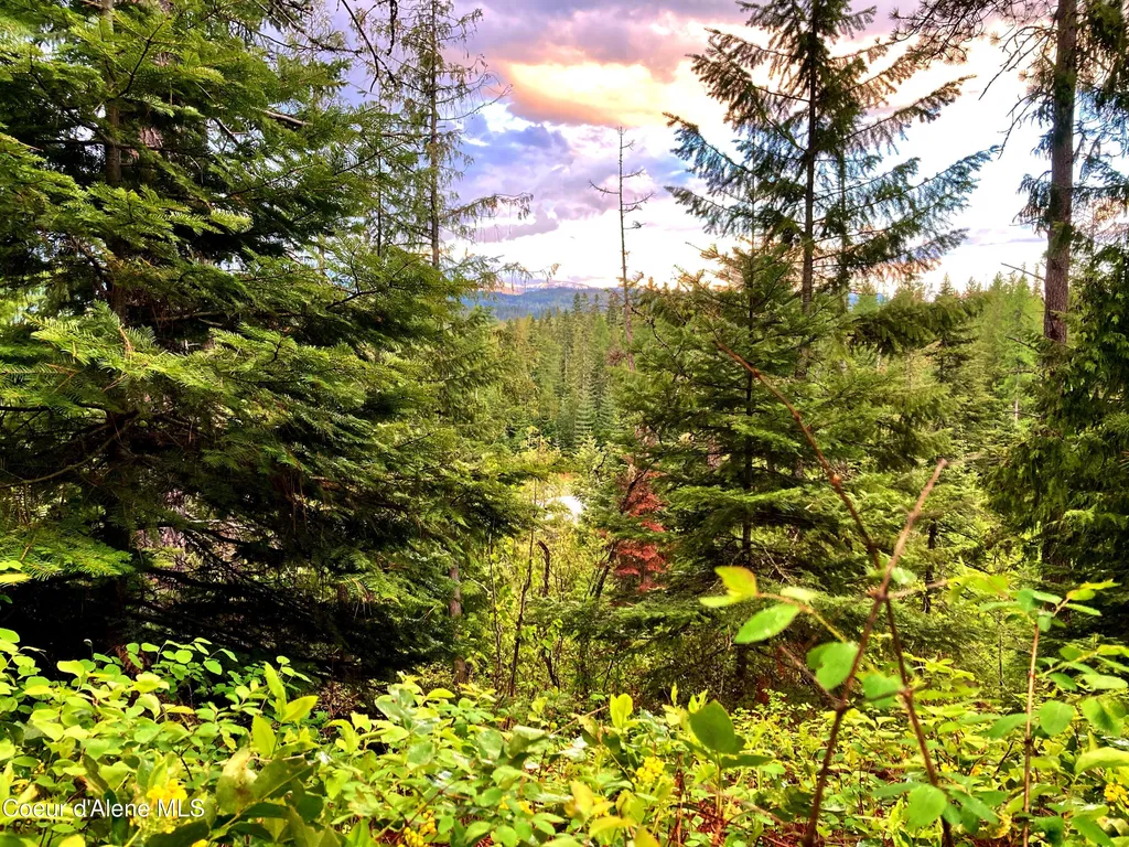 Nna White Mountain Road Sandpoint ID 83864