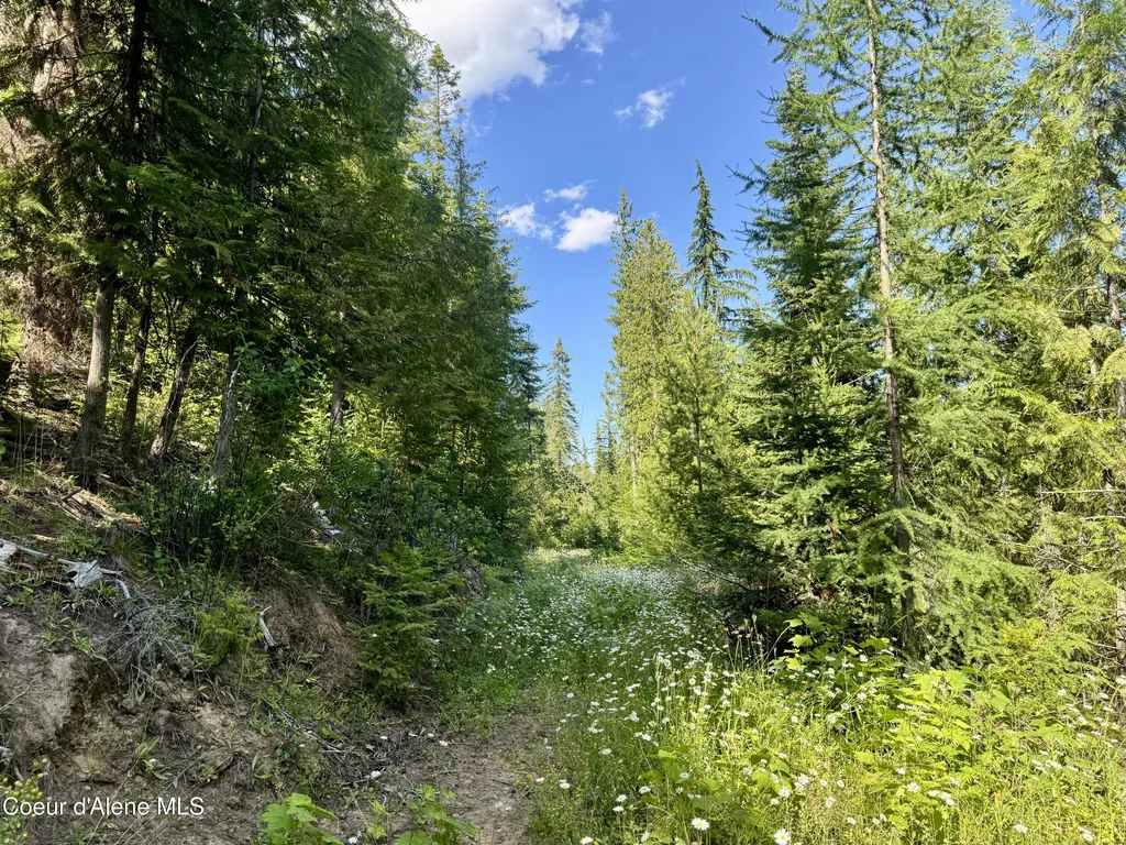 Nna White Mountain Road Sandpoint ID 83864