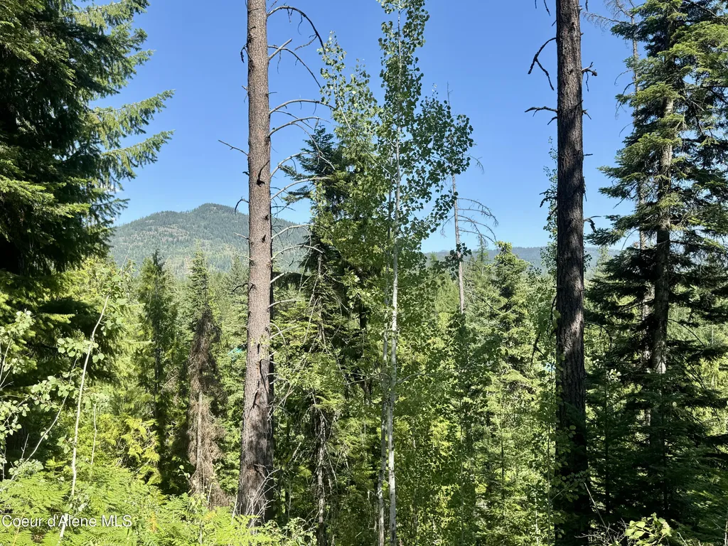 Nna White Mountain Road Sandpoint ID 83864