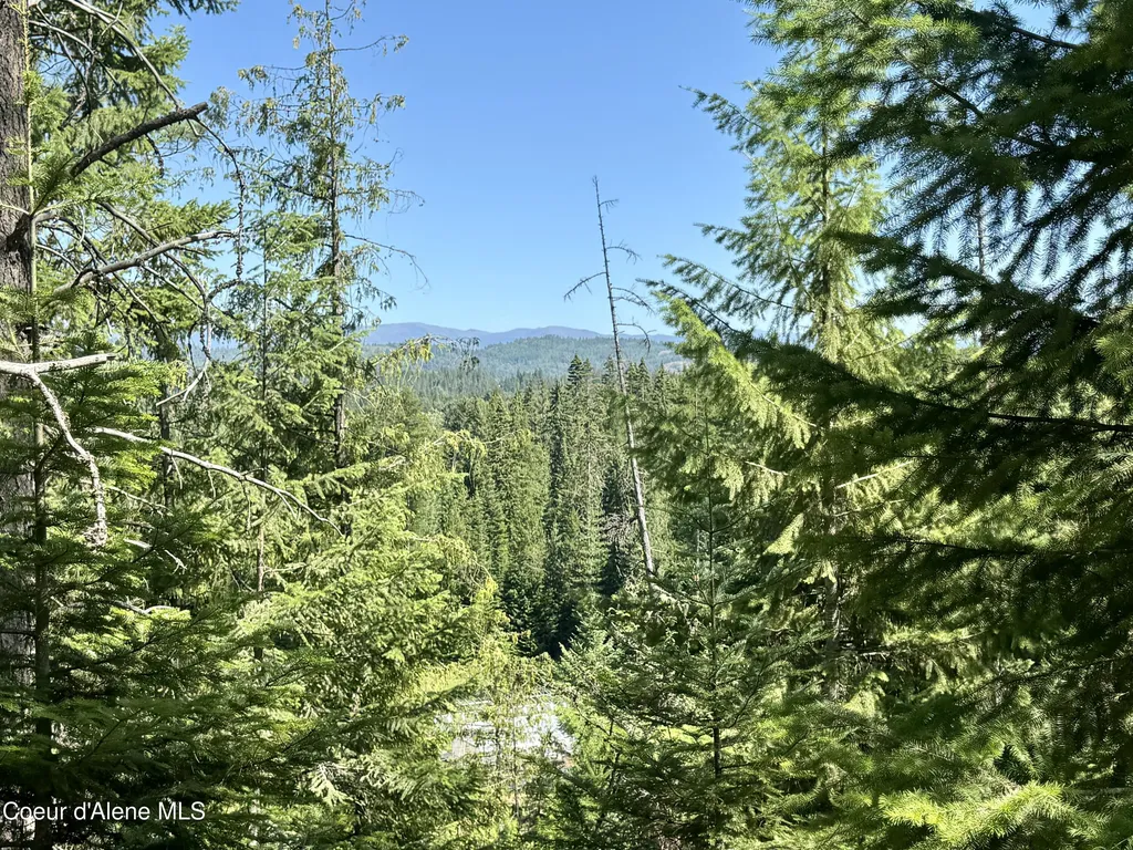 Nna White Mountain Road Sandpoint ID 83864