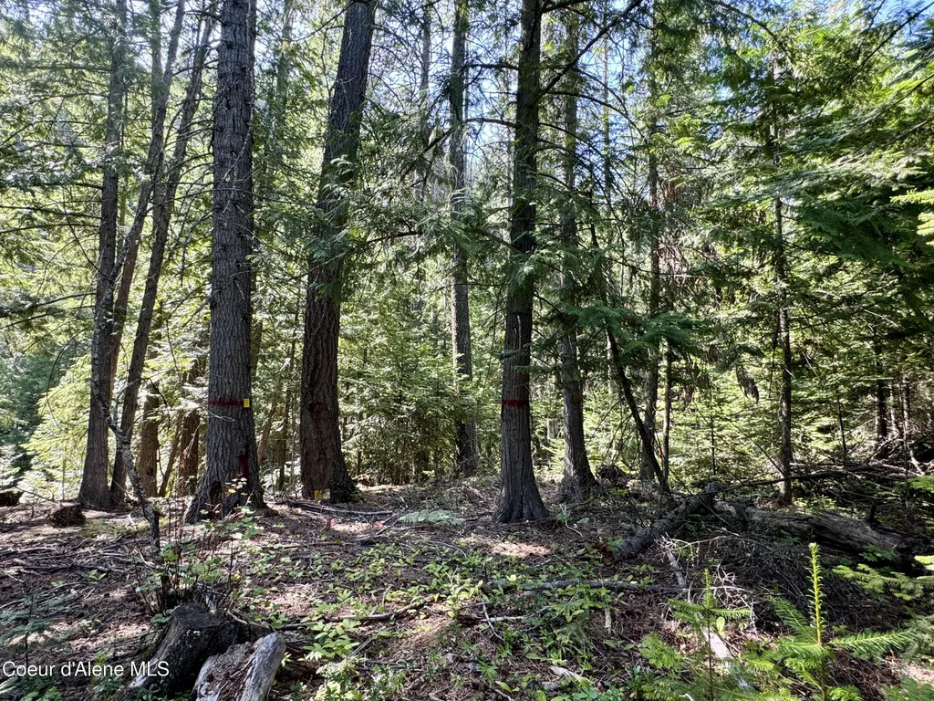 Nna White Mountain Road Sandpoint ID 83864