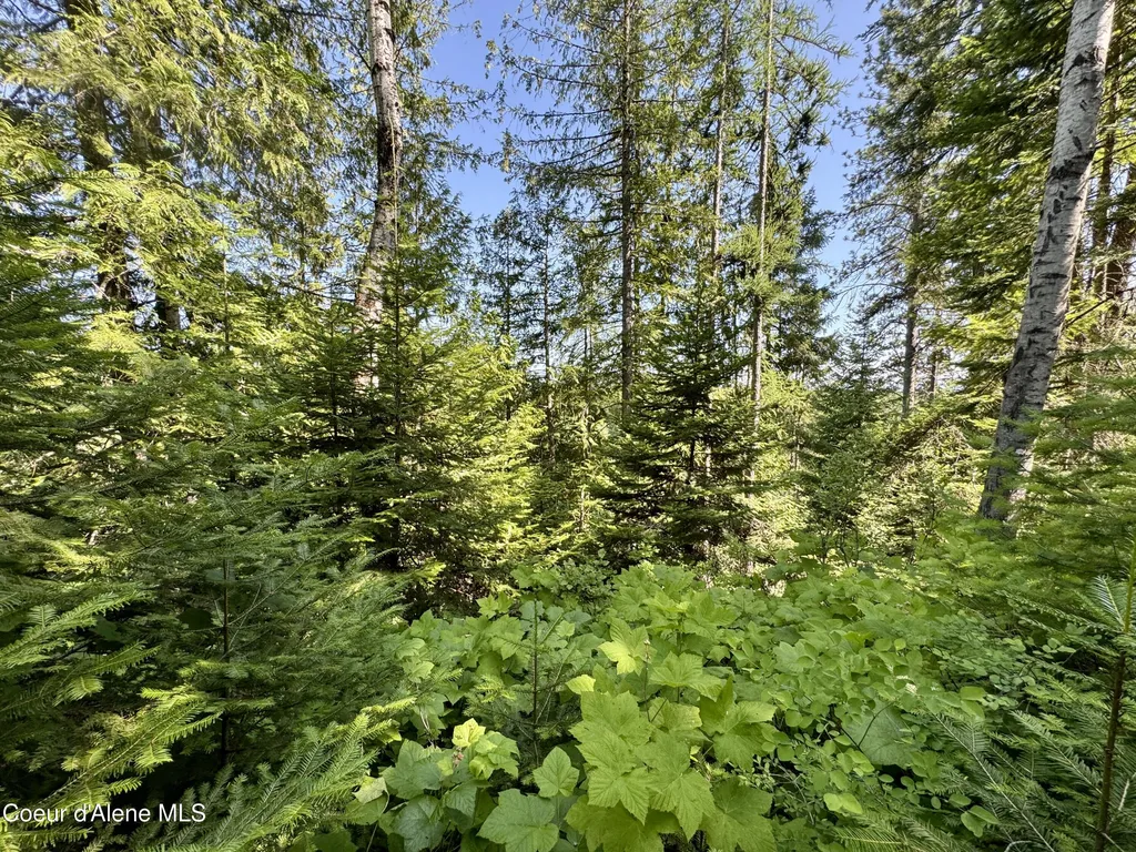 Nna White Mountain Road Sandpoint ID 83864
