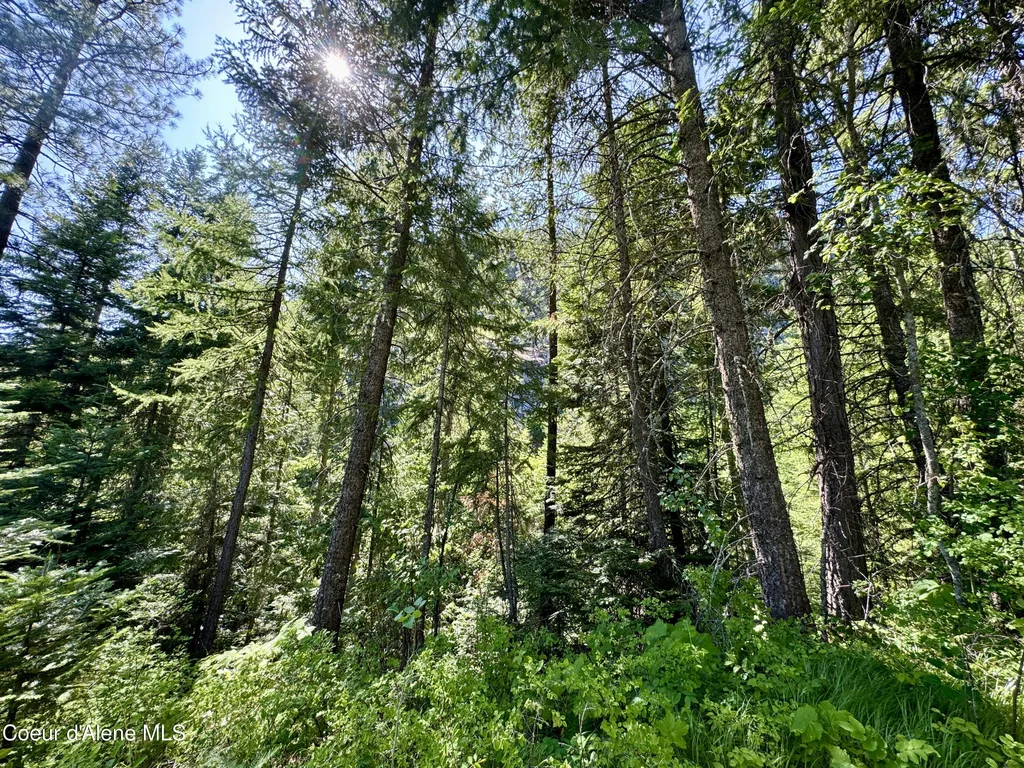 Nna White Mountain Road Sandpoint ID 83864