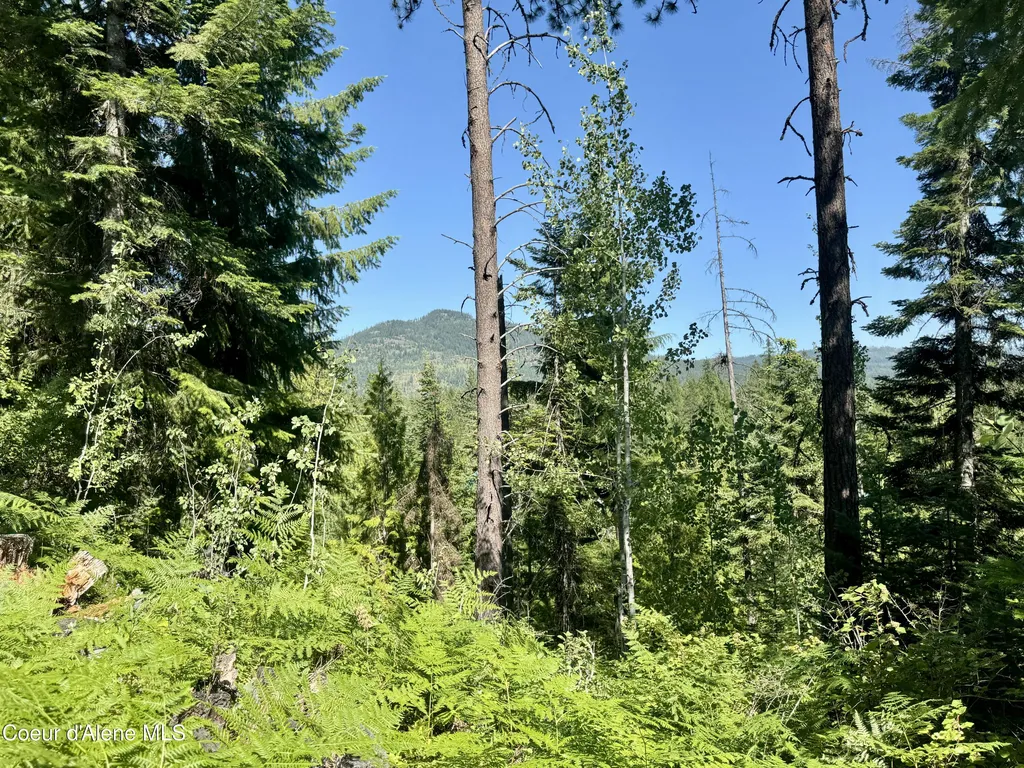 Nna White Mountain Road Sandpoint ID 83864